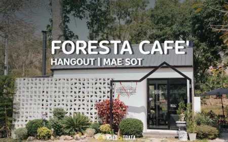 Foresta cafe ฟอเรสต้า คาเฟ่ แม่สอด – คาเฟ่บรรยากาศธรรมชาติ ติดลำธาร