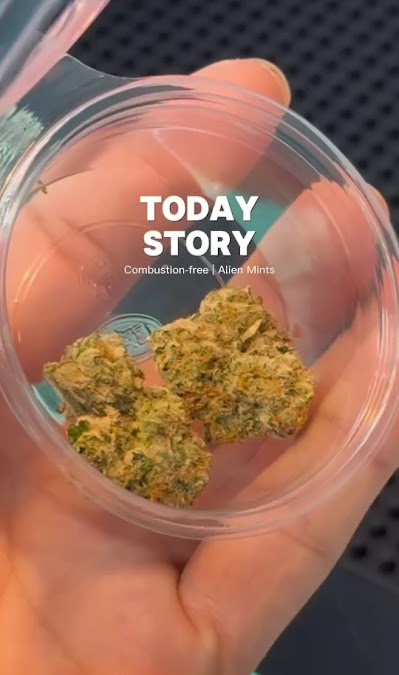 Weed shop enjoy