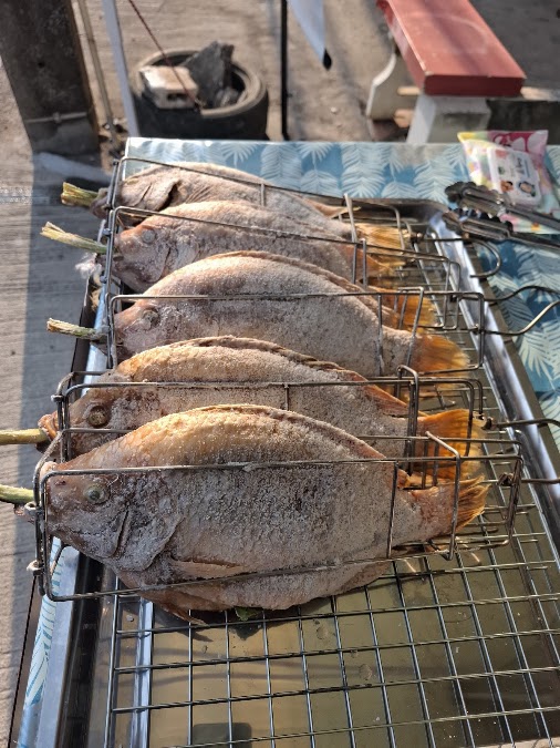 สุขเราเผากิน ปลาอบโอ่ง