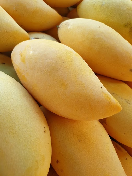 Mango Sticky Rice Mae Sot (PaNa)
