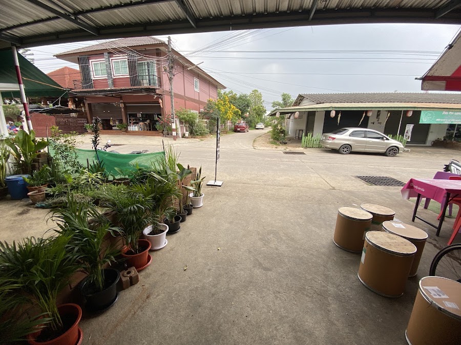 Reptile cafe FJ Maesot - คาเฟ่สัตว์เลื้อยคลาน