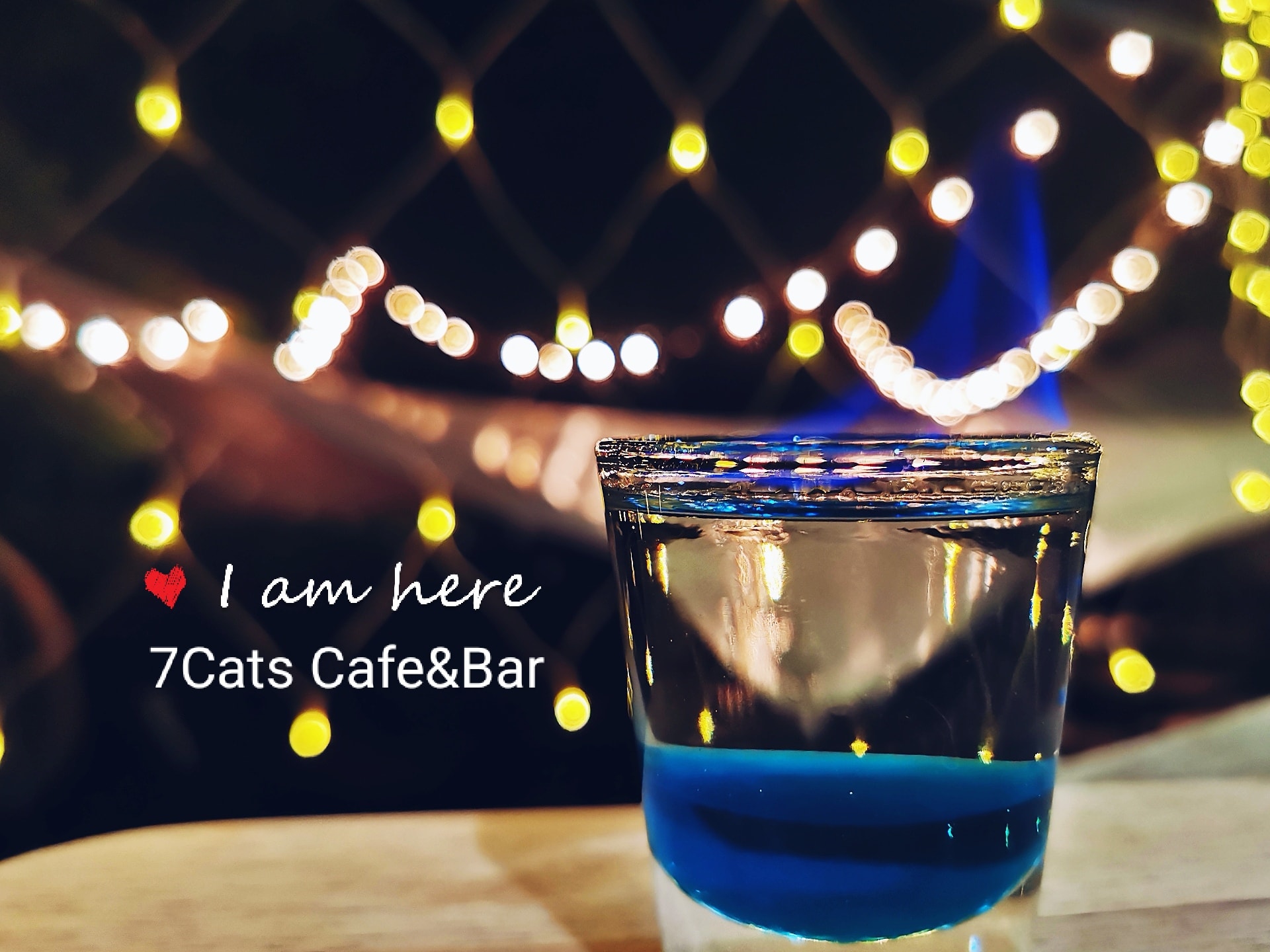 7Cats เซเว่นแคท Cafe&Bar แม่สอด