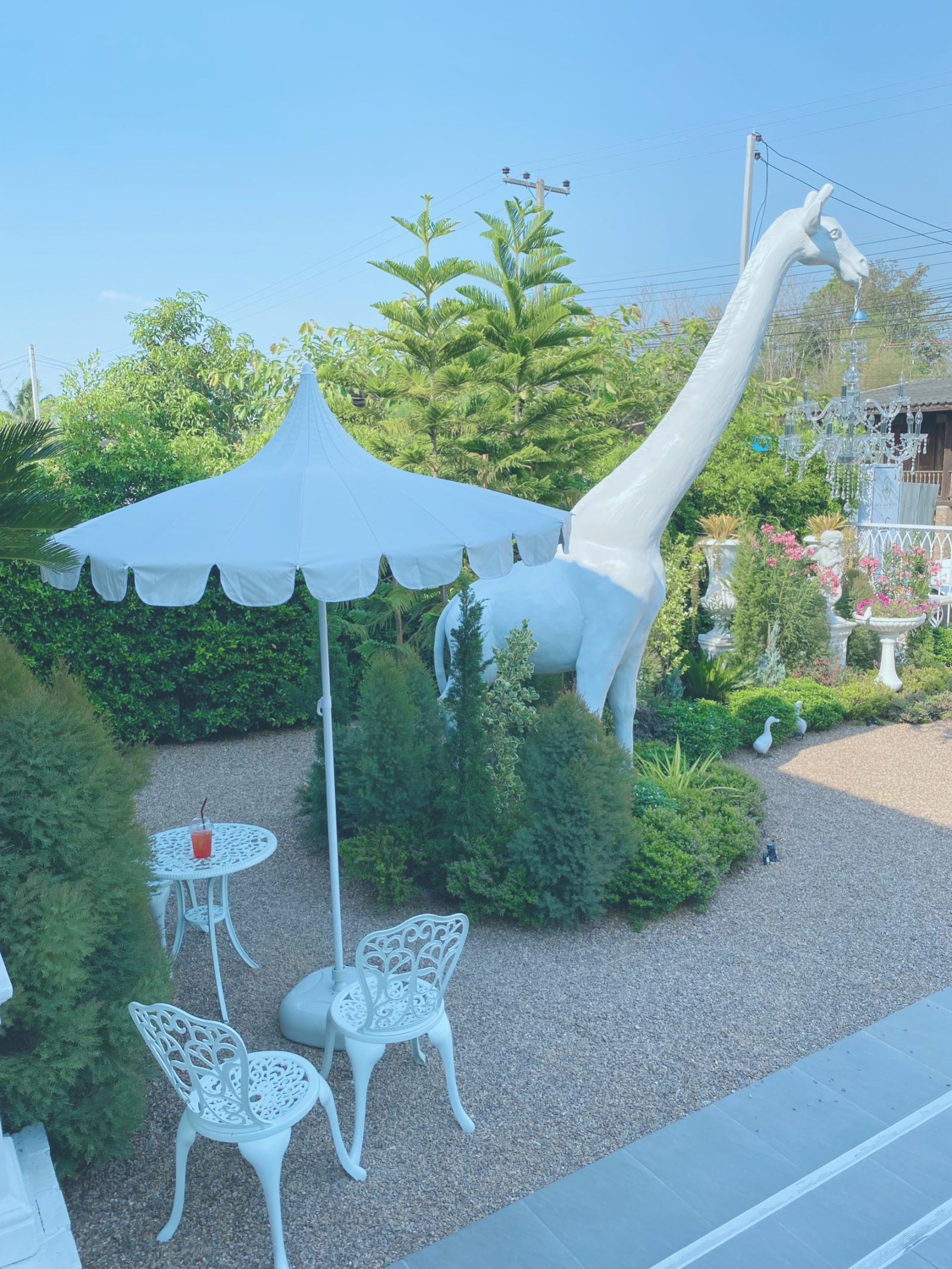 Sun secrets Cafe & Restaurant